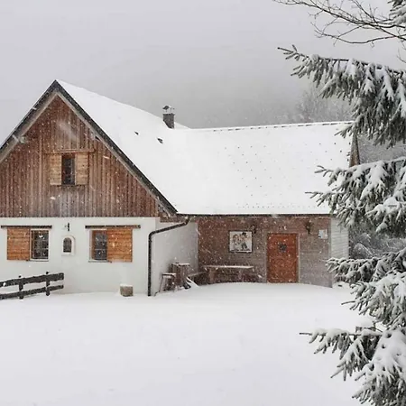 Chalet Hren * Vuzenica