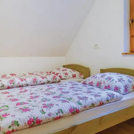 Chalet Chalet Hren Vuzenica